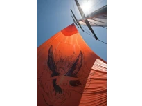 Holland Yacht Partners - Firefly